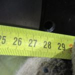 Двигатель Xinchai C490BPG-269-thumbnail-15